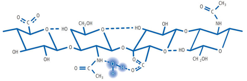 Cấu tríc phân tử của Hyaluronic acid - vietnammed